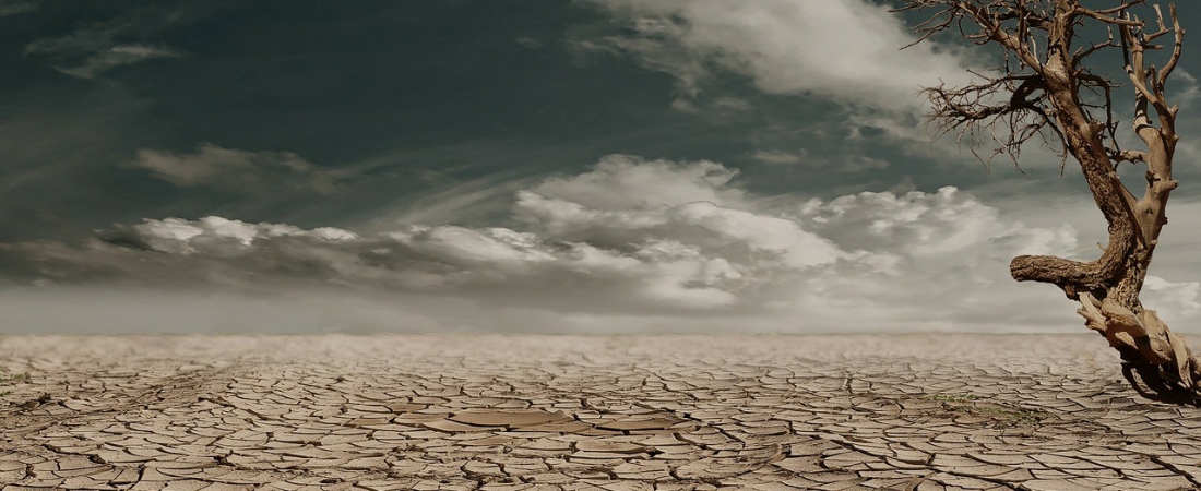 papadopoulou_dry_land